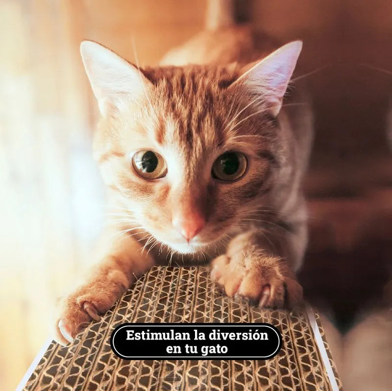 Rascador para Gato Ref B450 45 x 11 Cm - {{ Kanu Pet }}