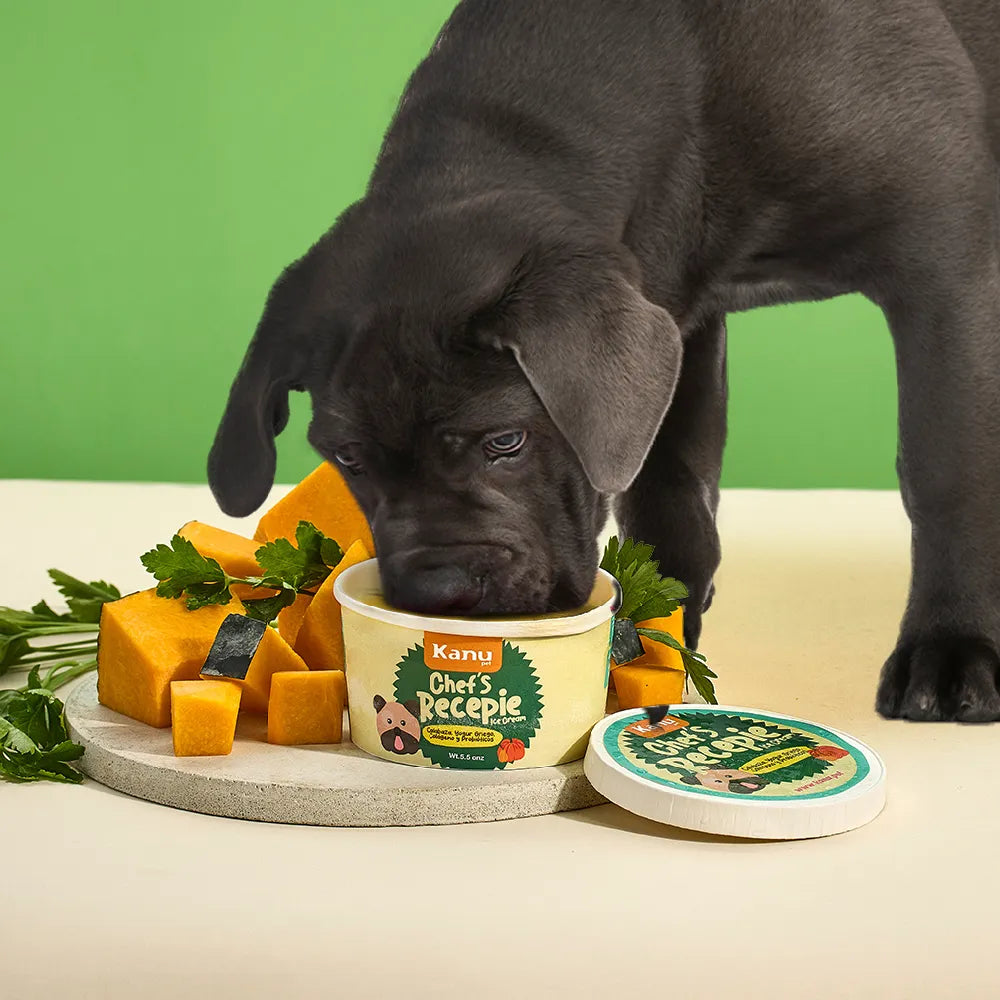 Helado de Calabaza Chef Recipe Kanu Pet para Perro y Gato - {{ Kanu Pet }}