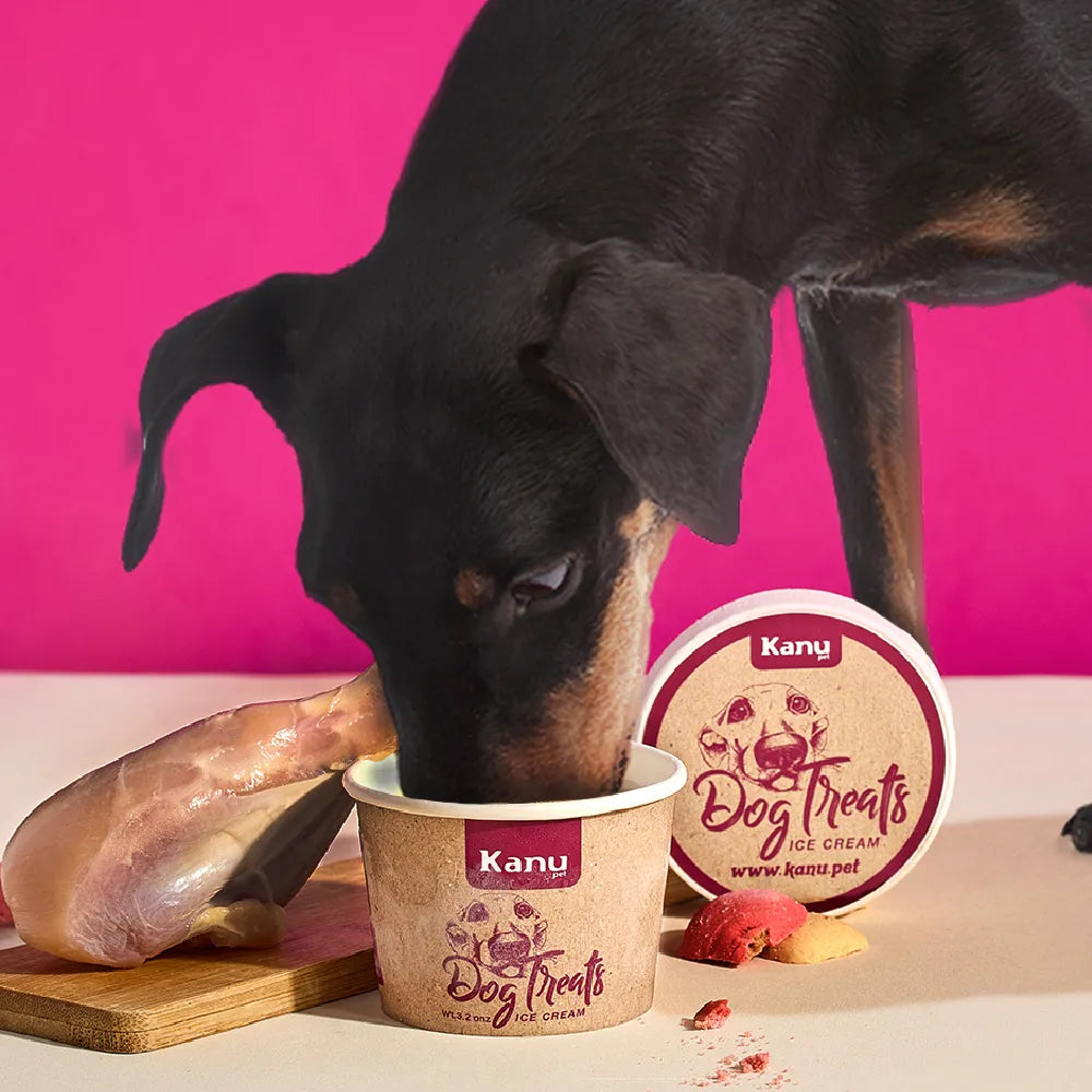 Helado de Galleta Pollo Kanu Pet para Perro y Gato 5.5 Oz - {{ Kanu Pet }}