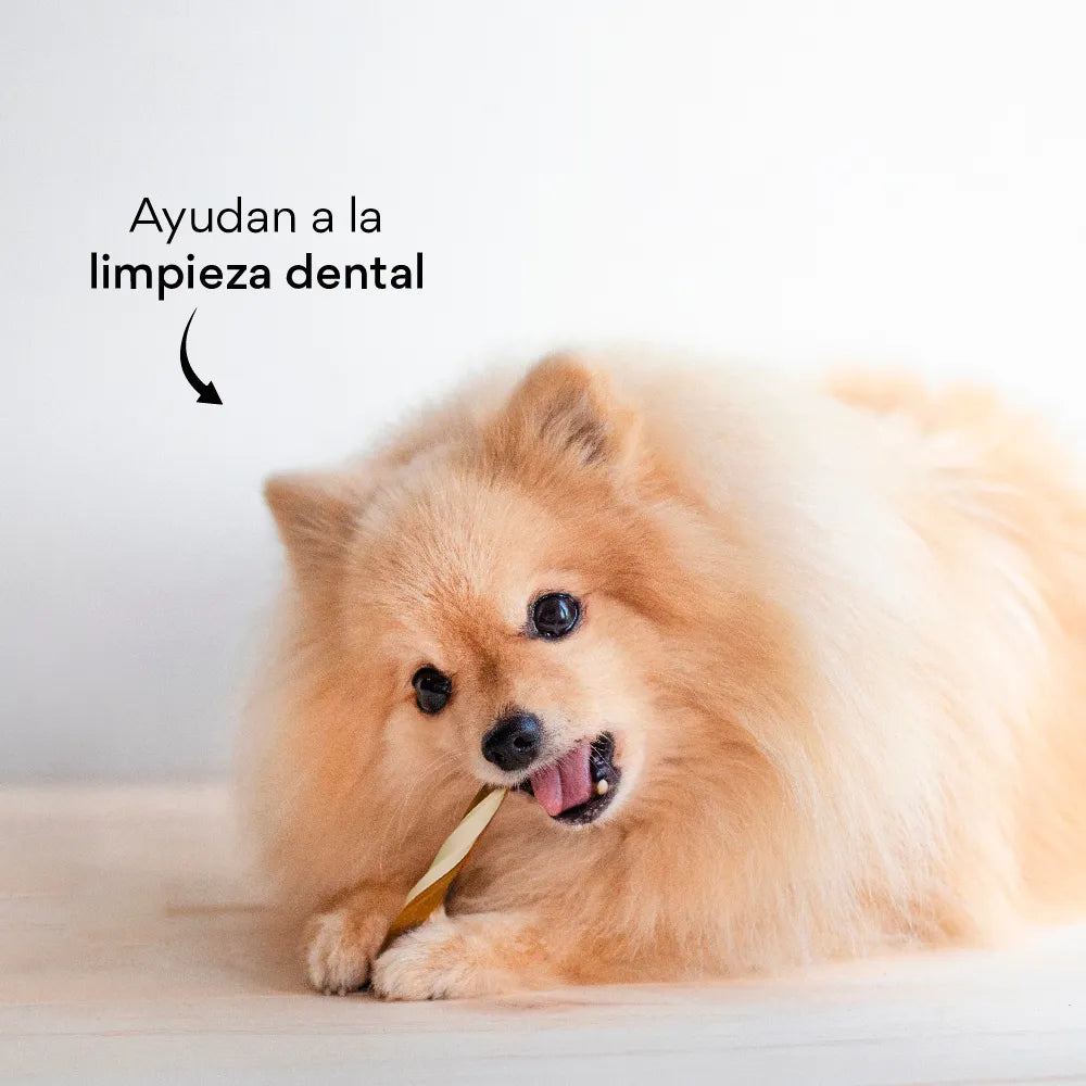 Snack para la placa y el sarro Kanu Pet Twist Stick Sabores surtidos para Perro x 8 Unds - {{ Kanu Pet }}