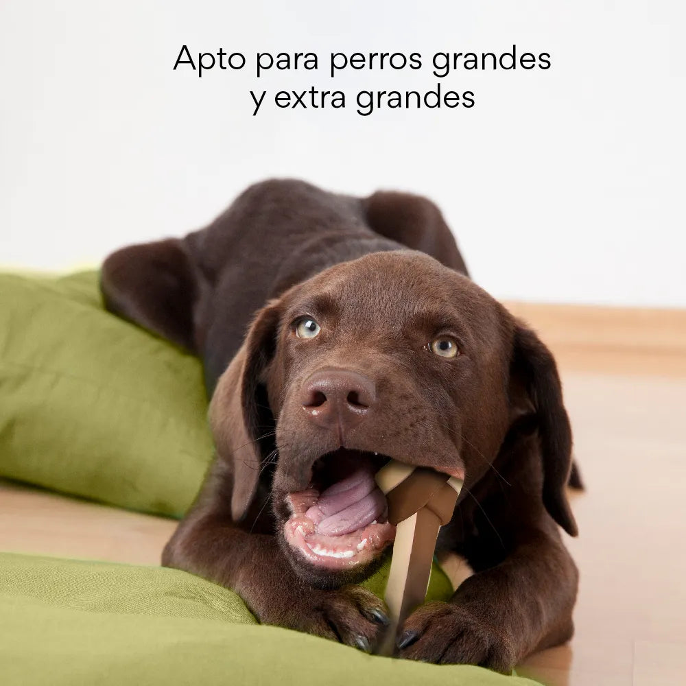 Snack Hueso Grande de Batata Kanu Big Bone para Perro x 1 Und - {{ Kanu Pet }}
