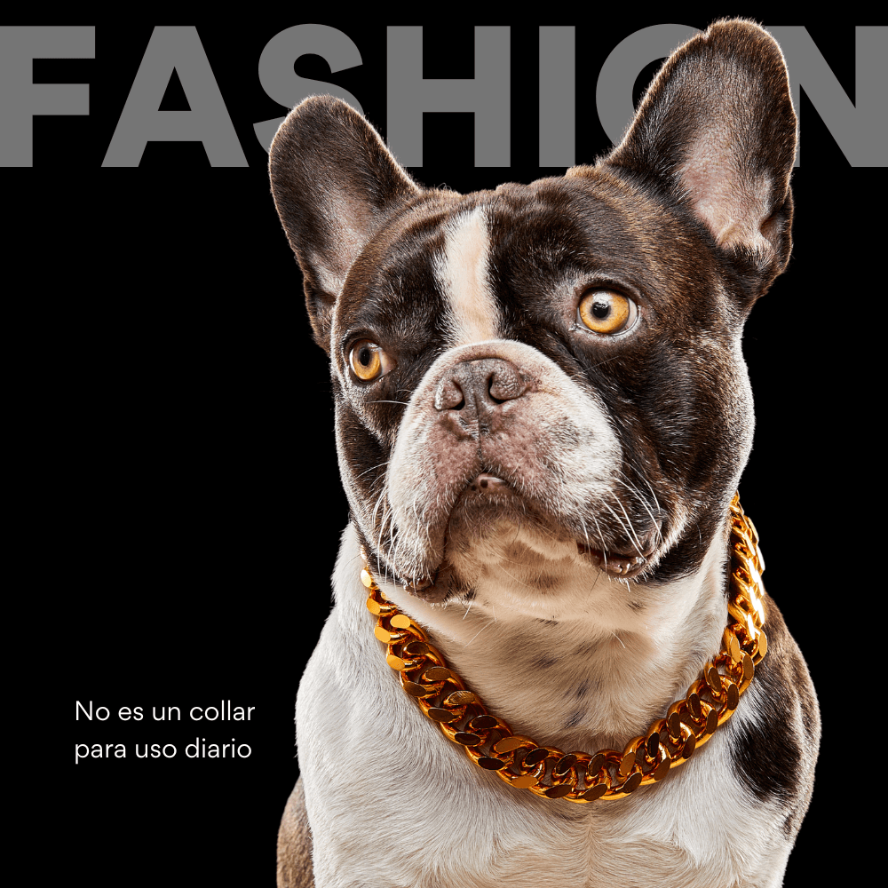 Collar Cadena Cubana Kanu Pet Dorada Para Perro y Gato - {{ Kanu Pet }}