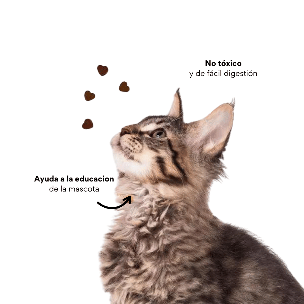 Galletas Piel y Pelaje Kanu Pet para gatos - {{ Kanu Pet }}