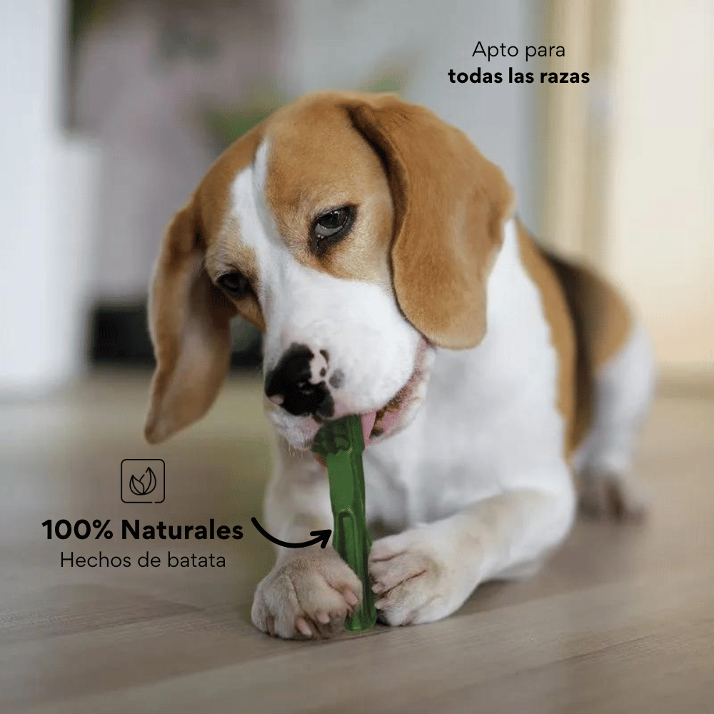 Snack Cepillo Dental Medium Kanu Pet Dental Fresh Para Perros Sabor a Menta - {{ Kanu Pet }}