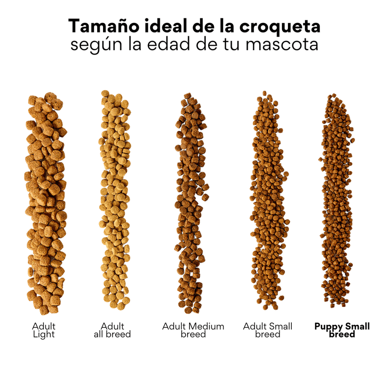 Alimento seco Nativo Bites Cordero Kanu Pet para cachorros - {{ Kanu Pet }}