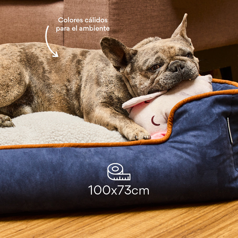 Cama Rectangular Ovejero Azul / Caramelo Kanu Pet para Perro