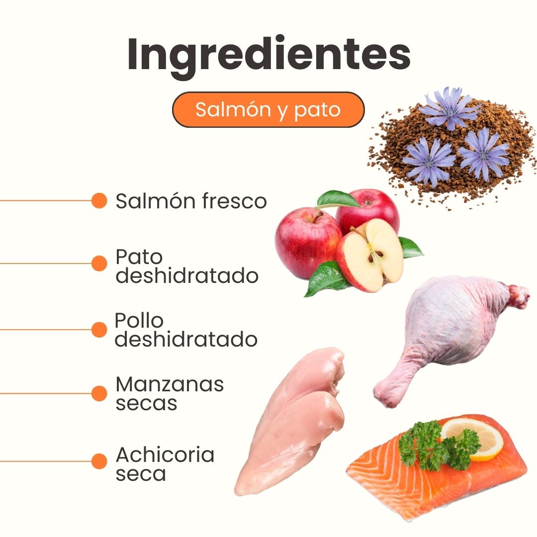 Alimento seco Nativo Bites Salmón, Pato y Pollo Kanu Pet para Gato Adulto