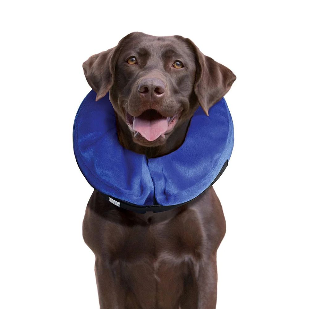 Collar Kong Para Recuperacion Perro