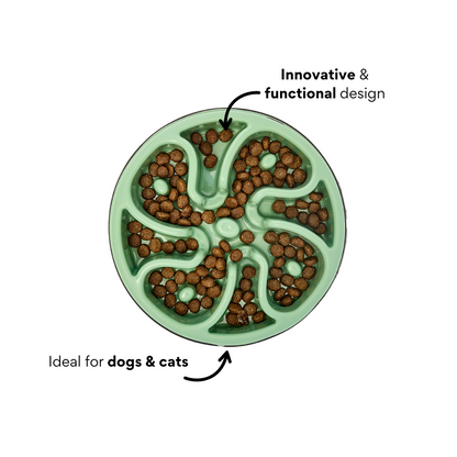 Comedero Circular Antirreflujo Kanu Pet Verde para Perro y Gato - {{ Kanu Pet }}