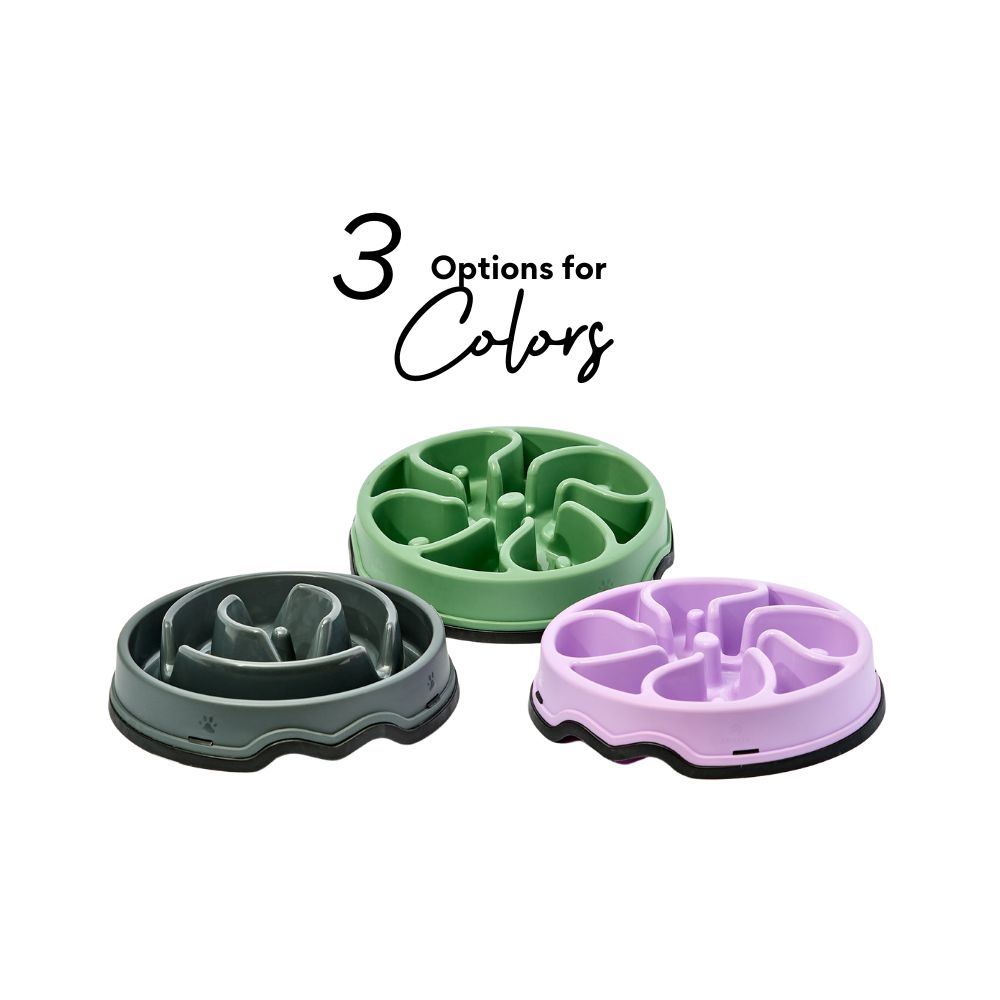 Comedero Circular Flor Antirreflujo Kanu Pet Lila para Perro y Gato