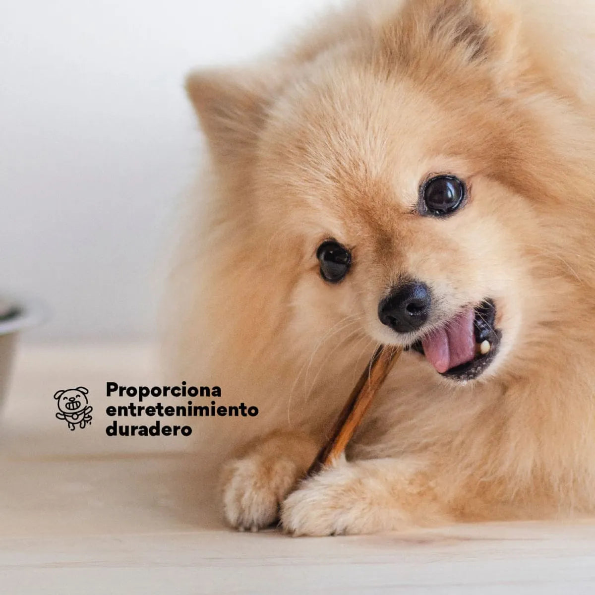 Snack Kanu Pet Esófago de Res para Perros, Un Solo ingrediente 100% natural - {{ Kanu Pet }}