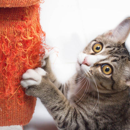 Spray de Entrenamiento Stop Scratching Kanu Pet para Gato - {{ Kanu Pet }}