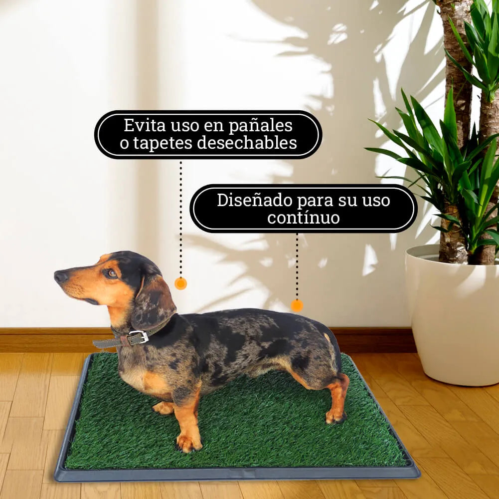 Grama Artificial de Entrenamiento Pet Park Kanu Pet para perro - {{ Kanu Pet }}