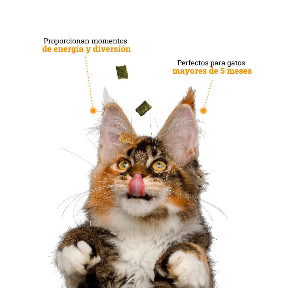 Snacks Galletas Kanu Pet Catnip para Gato - {{ Kanu Pet }}
