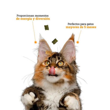 Snacks Galletas Kanu Pet Catnip para Gato - {{ Kanu Pet }}