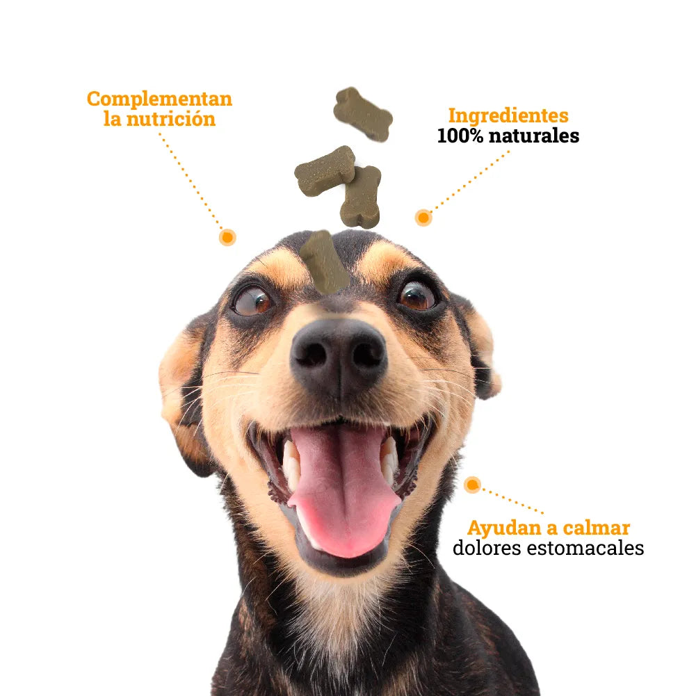 Galleta Efecto Calmante Kanu Pet para perros - {{ Kanu Pet }}