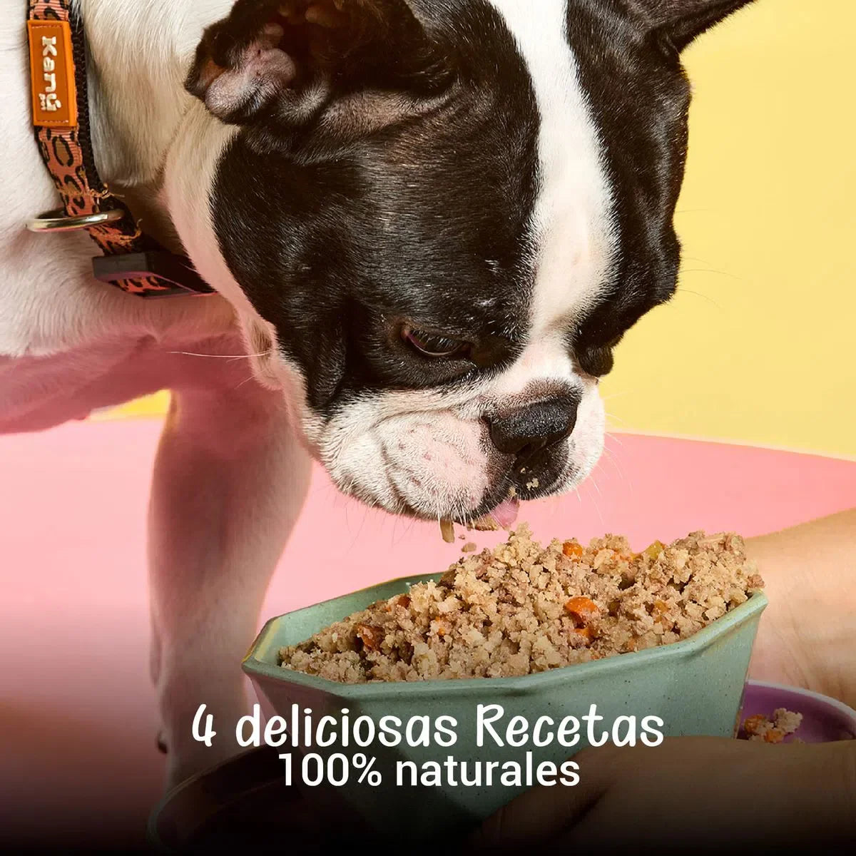 Alimento Congelado Receta Gourmet de Kanu Pet sabor a Carne de Res , Higado y Remolacha para perros. 100% Comida Real - {{ Kanu Pet }}