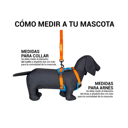 Pechera Acolchada Walker Naranja y Azula Kanu Pet para Perro