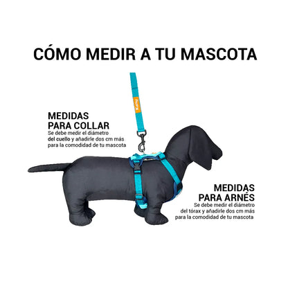 Pechera Acolchada Walker Azul Kanu Pet para Perro