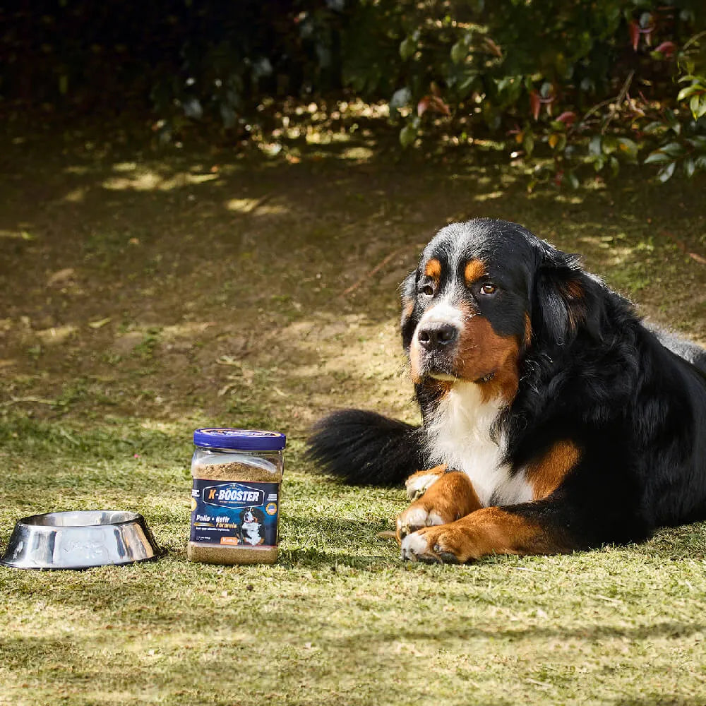 Suplemeneto K-Booster de Pollo Liofilizado Kanu Pet para perros - {{ Kanu Pet }}