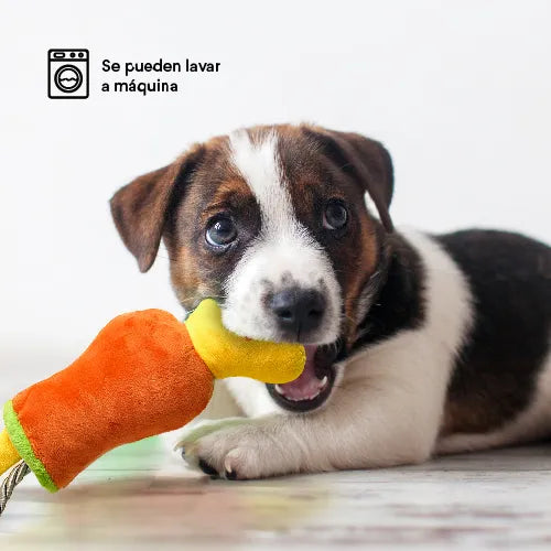 Juguete Peluche Coctel Summer Kanu Pet para Perro - {{ Kanu Pet }}