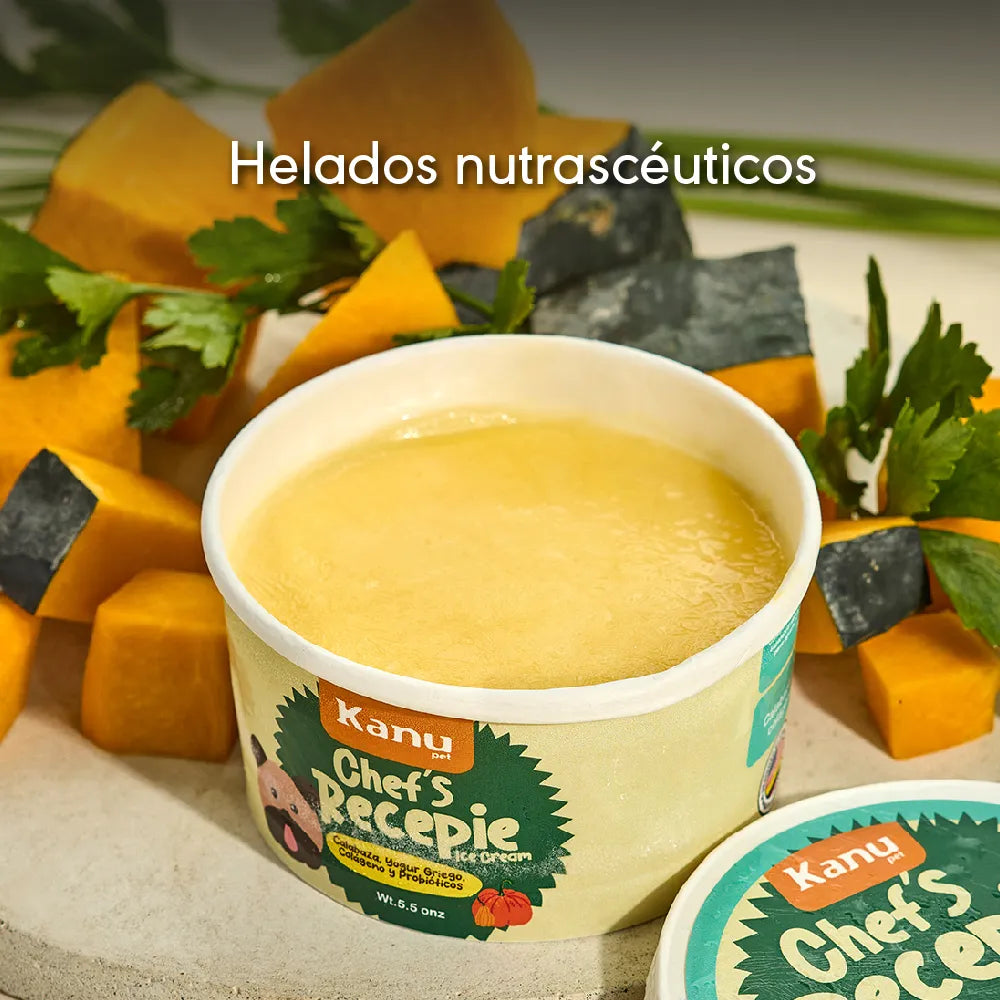 Helado de Calabaza Chef Recipe Kanu Pet para Perro y Gato - {{ Kanu Pet }}