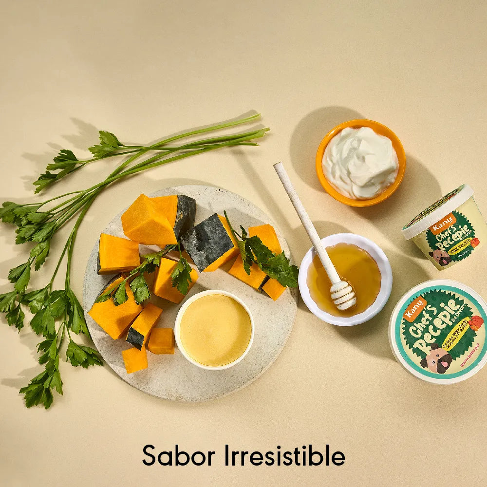 Helado de Calabaza Chef Recipe Kanu Pet para Perro y Gato - {{ Kanu Pet }}