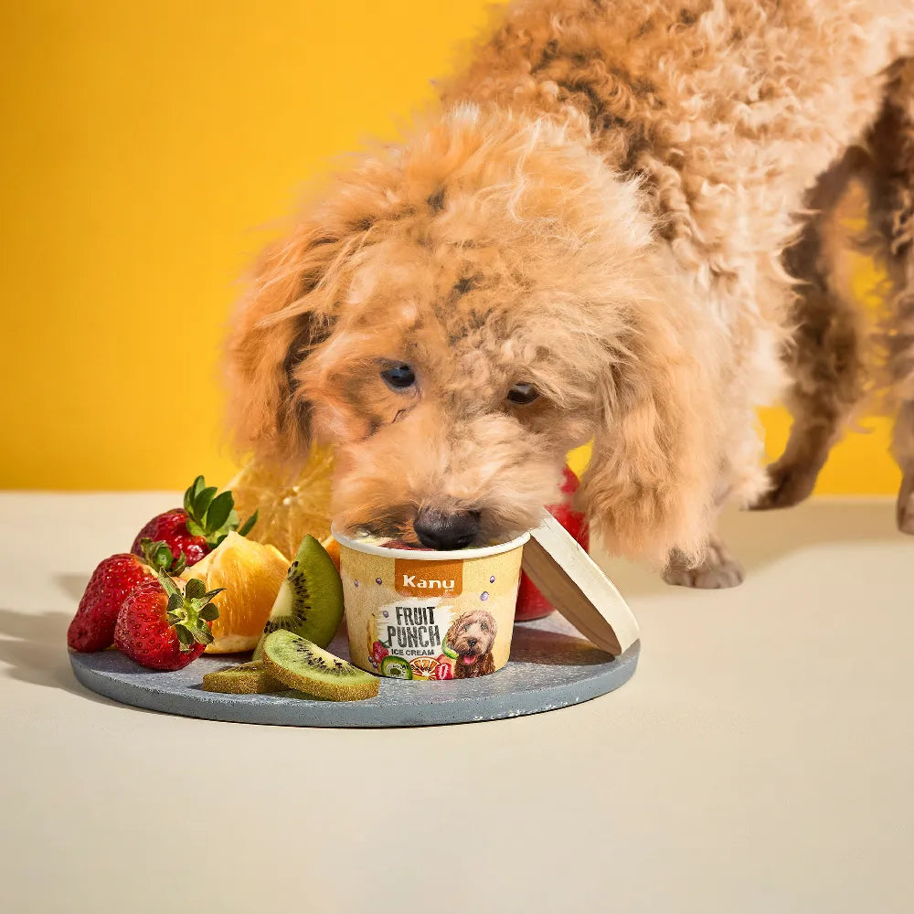 Helado de Fruit Punch Kanu Pet para Perro y Gato - {{ Kanu Pet }}