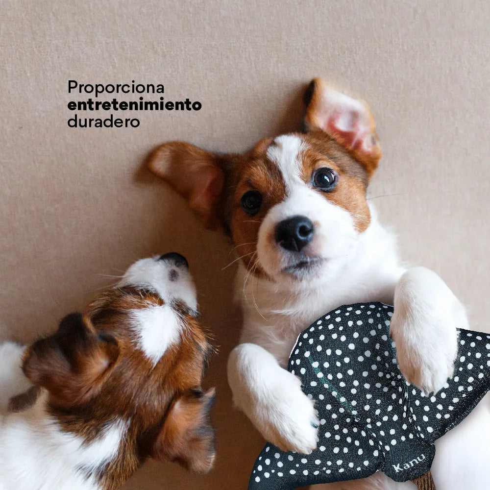 Juguete Peluche Mantarraya Mar Kanu Pet para Perro - {{ Kanu Pet }}