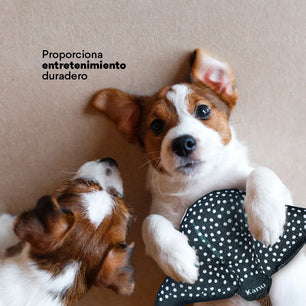 Juguete Peluche Mantarraya Mar Kanu Pet para Perro - {{ Kanu Pet }}