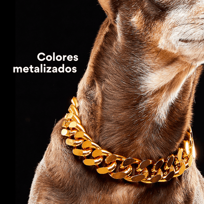 Collar Cadena Cubana Kanu Pet Dorada Para Perro y Gato - {{ Kanu Pet }}