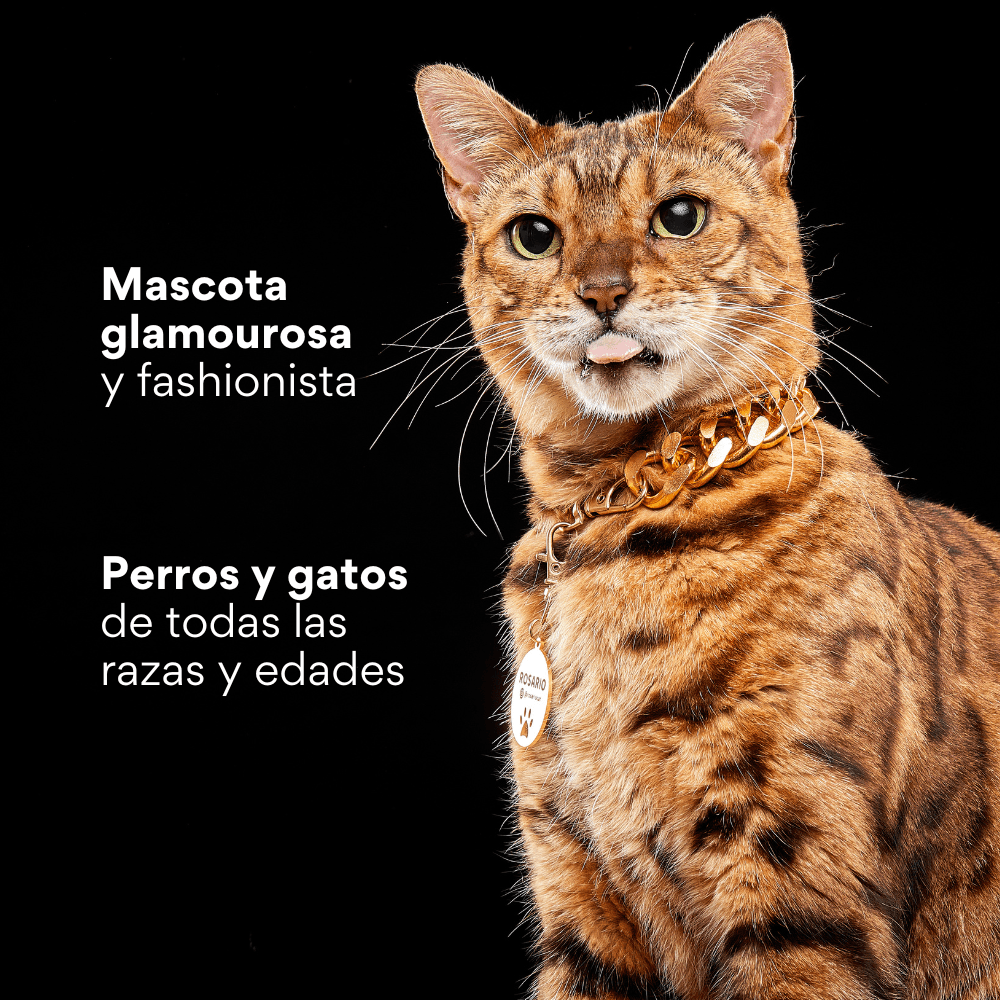 Collar Cadena Cubana Kanu Pet Dorada Para Perro y Gato - {{ Kanu Pet }}