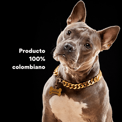 Collar Cadena Cubana Kanu Pet Dorada Para Perro y Gato - {{ Kanu Pet }}