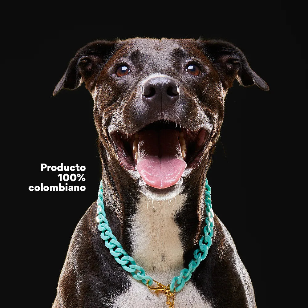 Collar Cadena Acrilica Kanu Agua Marina Para Perro y Gato - {{ Kanu Pet }}