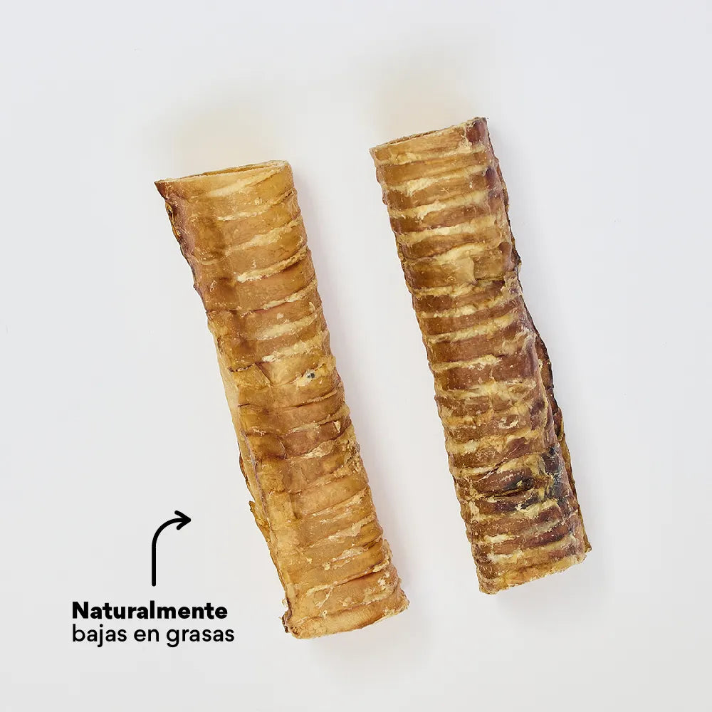 Snack Kanu Pet Traquea de Res para Perro, Un Solo ingrediente 100% natural - {{ Kanu Pet }}