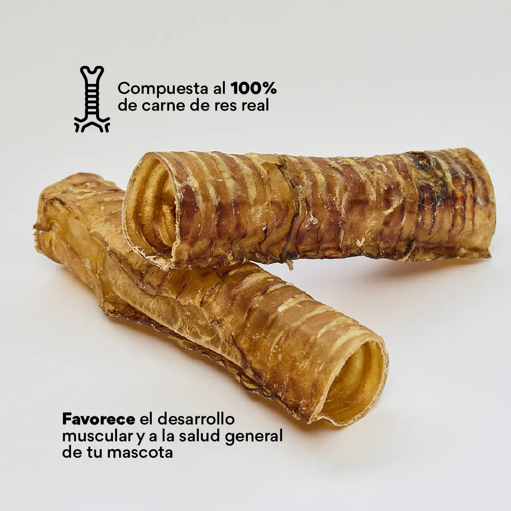 Snack Kanu Pet Traquea de Res para Perro, Un Solo ingrediente 100% natural - {{ Kanu Pet }}