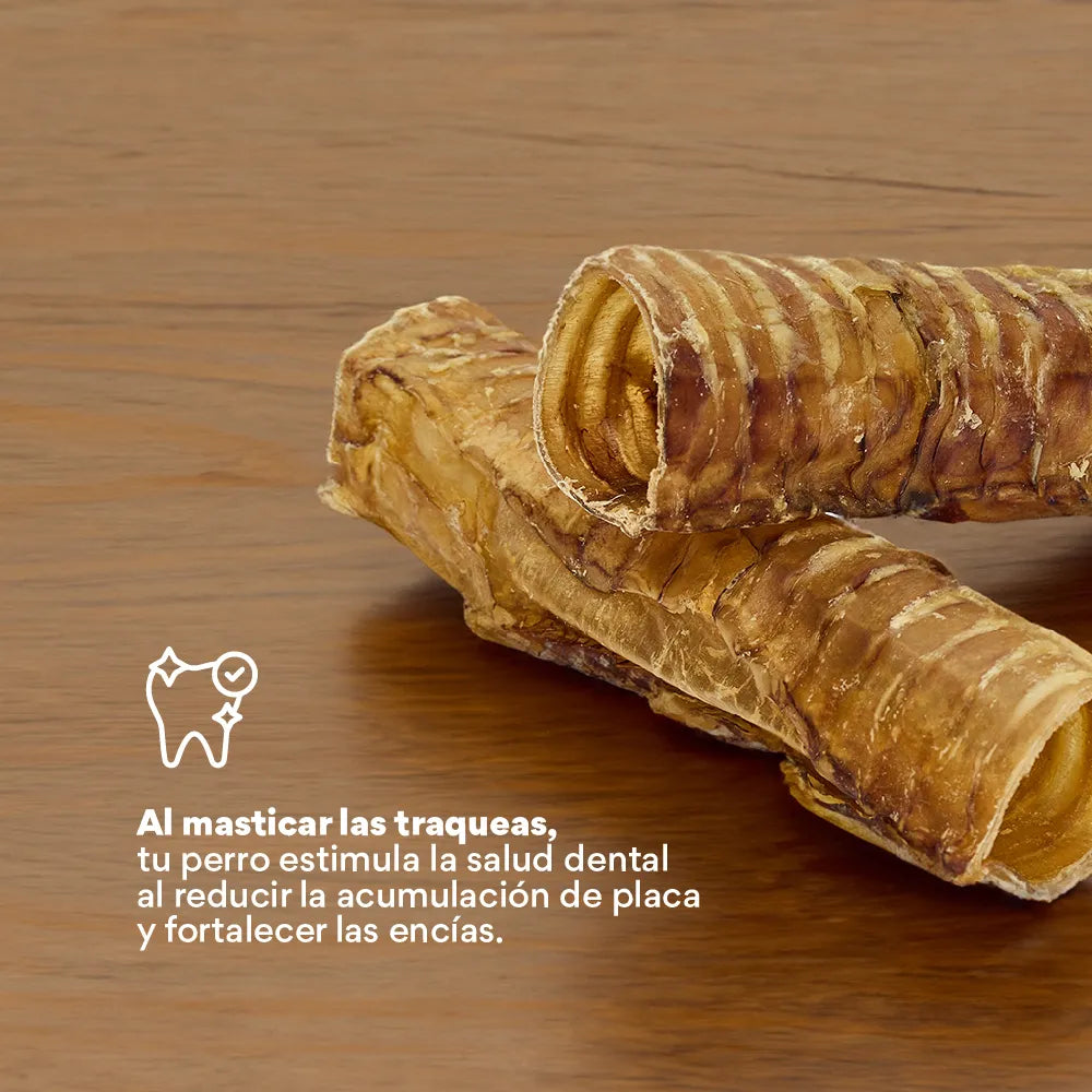 Snack Kanu Pet Traquea de Res para Perro, Un Solo ingrediente 100% natural - {{ Kanu Pet }}