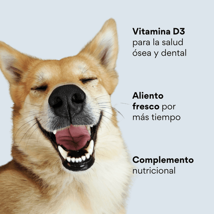 Snacks para la placa y el sarro Kanu Pet Nuggets Dental Care para Perro 100 GR - {{ Kanu Pet }}