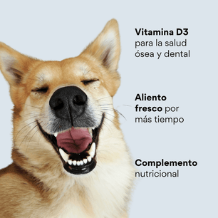 Snacks para la placa y el sarro Kanu Pet Nuggets Dental Care para Perro 100 GR - {{ Kanu Pet }}