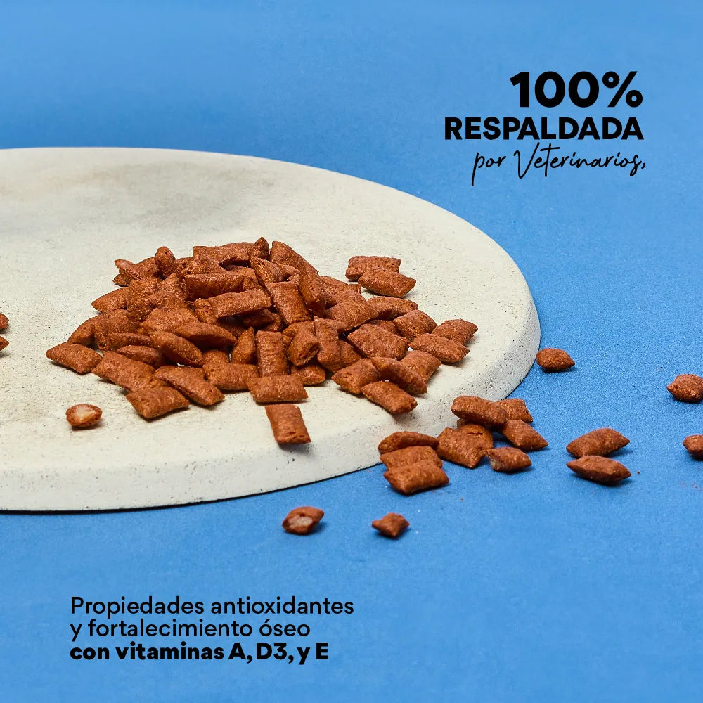 Snacks Nuggets Skin and Coat para Gatos - {{ Kanu Pet }}