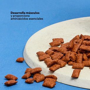 Snacks Nuggets Skin and Coat para Gatos - {{ Kanu Pet }}