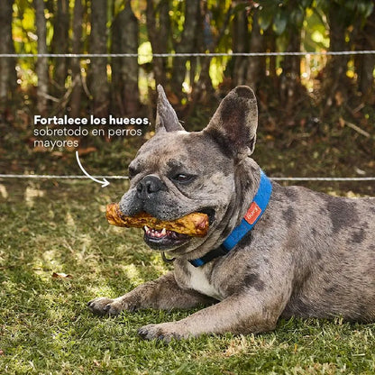 Snack Colágeno de Res Kanu Pet para Perro. No es Carnaza x 3 Unds - {{ Kanu Pet }}