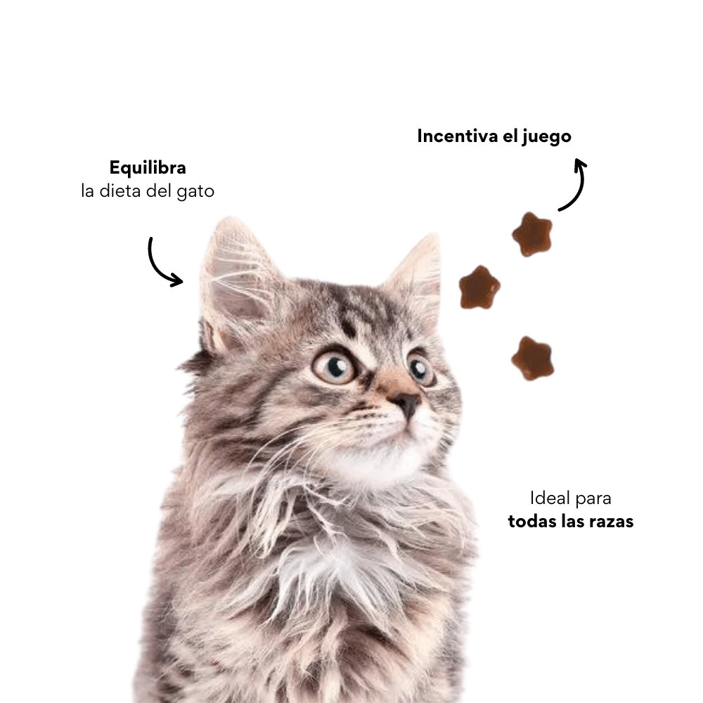 Mini Snacks Blandos Kanu Pet Gatos Cuidado Urinario Para Gato - {{ Kanu Pet }}