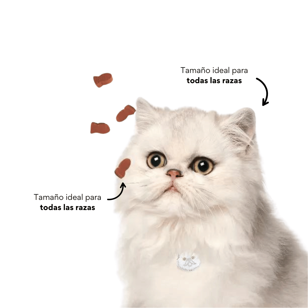 Galletas Blandas para el Control de Peso Kanu Pet Light para Gato - {{ Kanu Pet }}