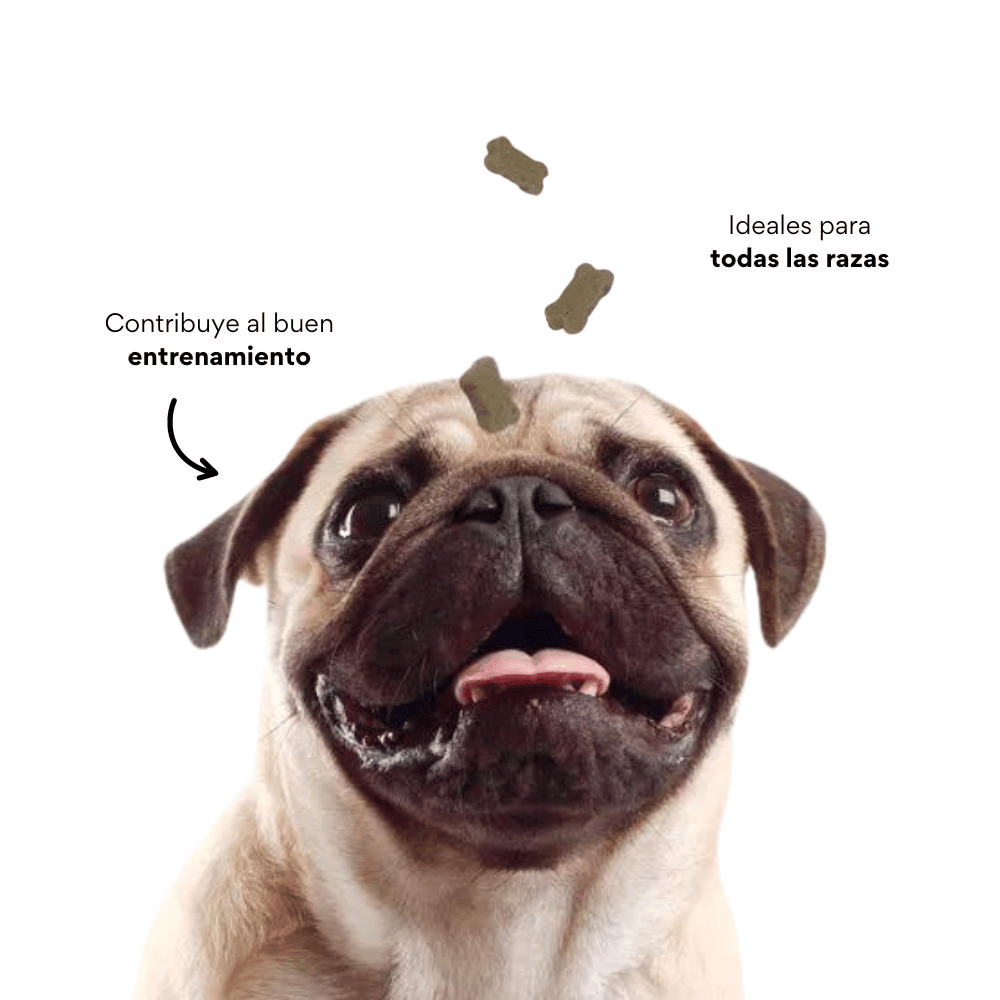 Snacks Galletas Kanu Pet Piel y Pelaje Para Perro 180 GR - {{ Kanu Pet }}