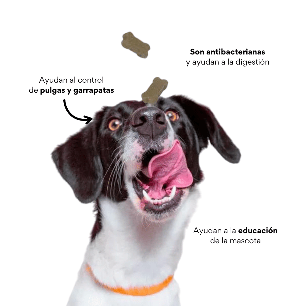 Galletas Blandas con Ajo Kanu Control Pulgas y Garrapatas Kanu Pet para Perro. 100% Naturales - {{ Kanu Pet }}