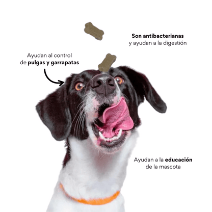 Galletas Blandas con Ajo Kanu Control Pulgas y Garrapatas Kanu Pet para Perro. 100% Naturales - {{ Kanu Pet }}