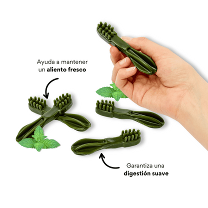 Snack Cepillo Dental Medium Kanu Pet Dental Fresh Para Perros Sabor a Menta - {{ Kanu Pet }}