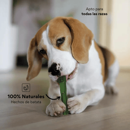 Snack Cepillo Dental Medium Kanu Pet Dental Fresh Para Perros Sabor a Menta - {{ Kanu Pet }}