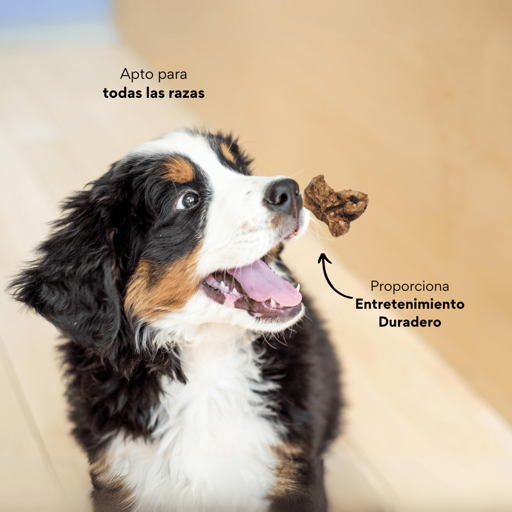 Snack Pulmón de Cerdo Deshidratado Kanu Pet para Perros, Un Solo ingrediente 100% natural - {{ Kanu Pet }}